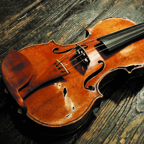 Violin