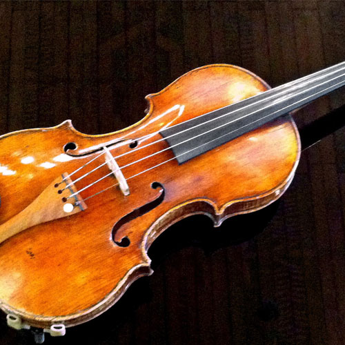 Violin