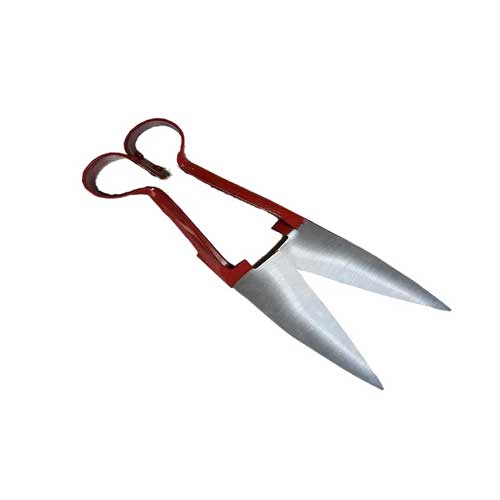 Sheep Shears