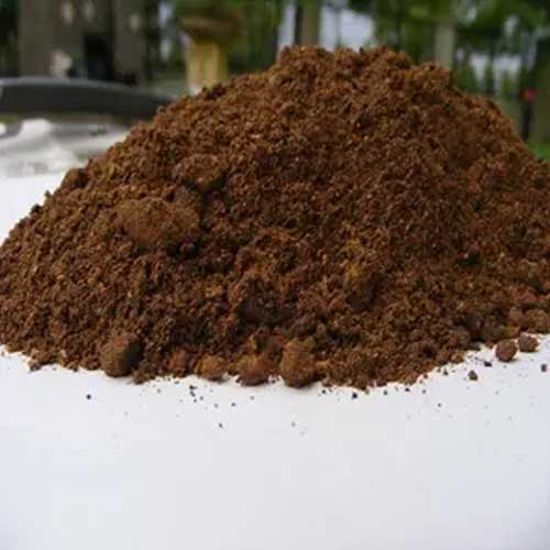 Palm Kernel Cake