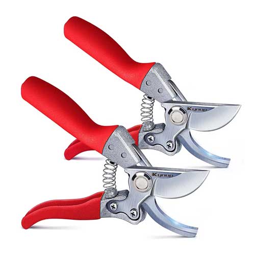 Bypass Pruner