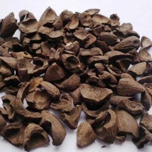 Palm Kernel Shell