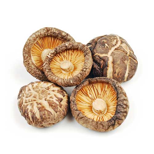 Dried Mushroom