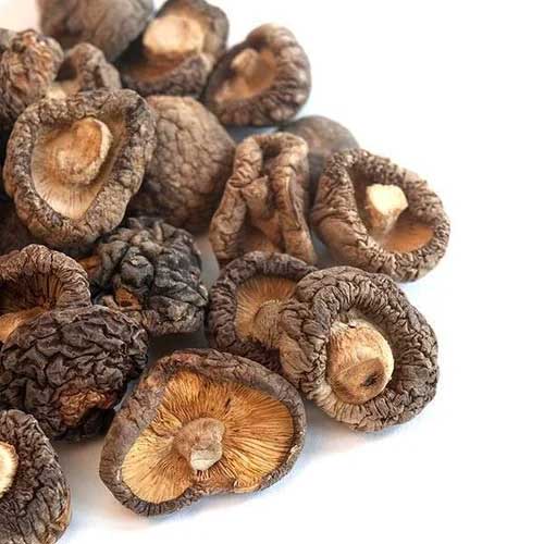 Dried Mushroom