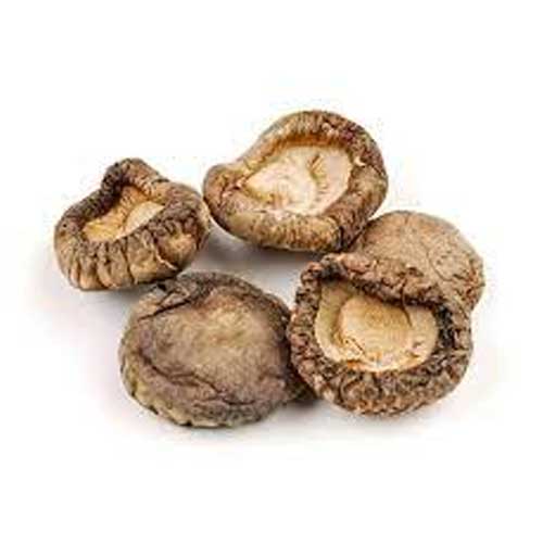 Dried Mushroom
