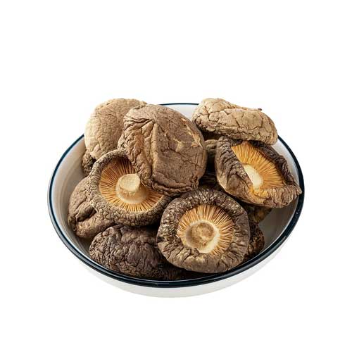 Dried Mushroom