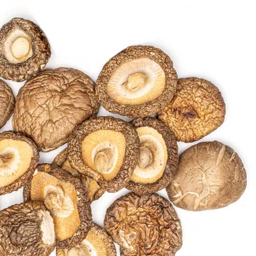 Dried Mushroom