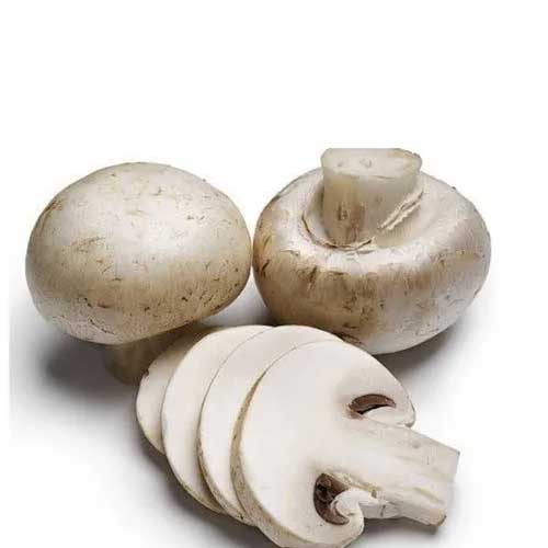 Fresh Button Mushroom