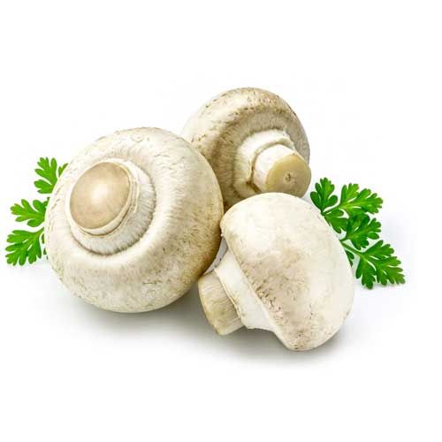 Fresh Button Mushroom