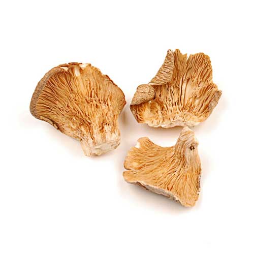 Dried Oyster Mushroom