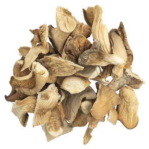 Dried Oyster Mushroom