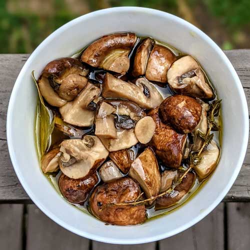 Pickled Mushroom