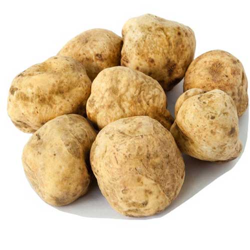 White Truffle Mushroom