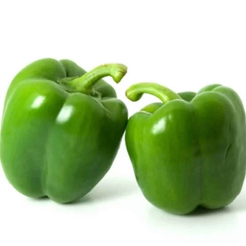 Capsicum