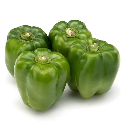 Capsicum