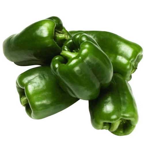 Green Capsicum