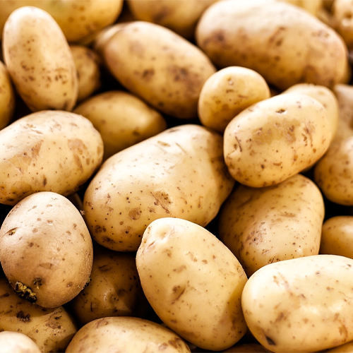 Agricultural Food Products