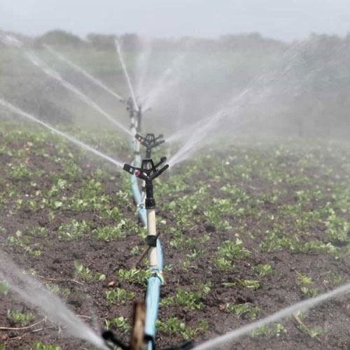 Pressurized Irrigation System