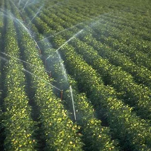 Pressurized Irrigation System