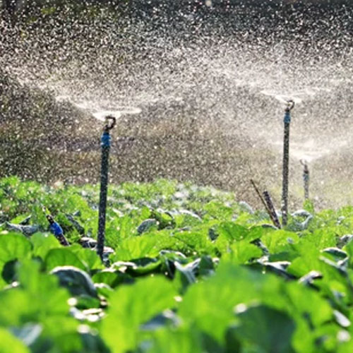 Pressurized Irrigation System