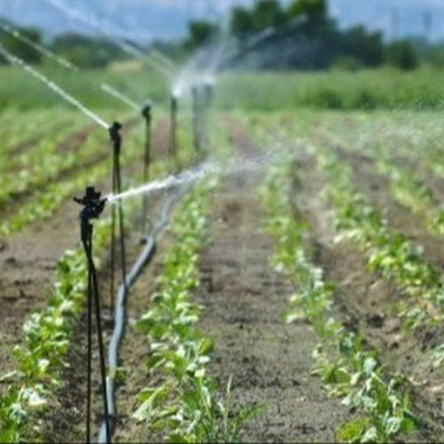 Pressurized Irrigation System