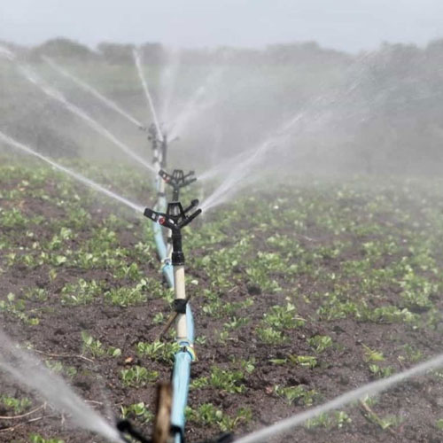Pressurized Irrigation System
