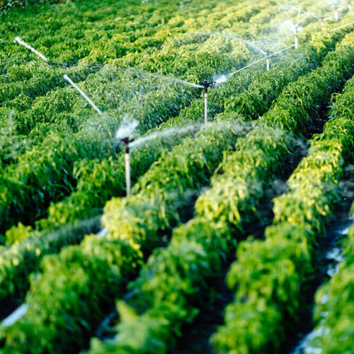 Pressurized Irrigation System