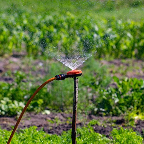 Pressurized Irrigation System