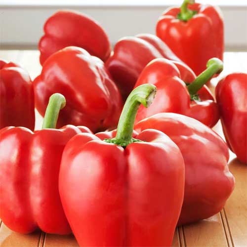 Red Capsicum