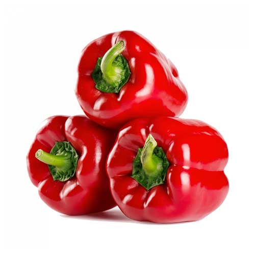 Red Capsicum
