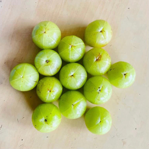 Amla