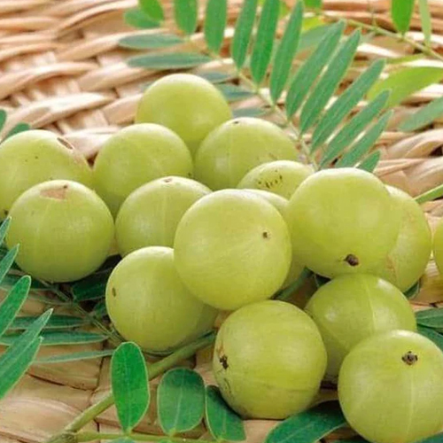 Amla