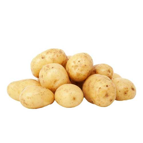 Potato