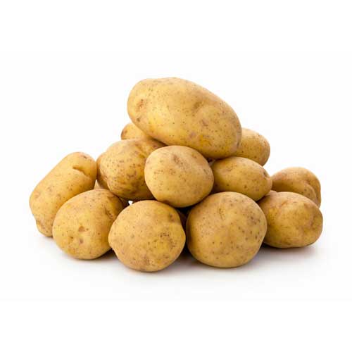 Potato