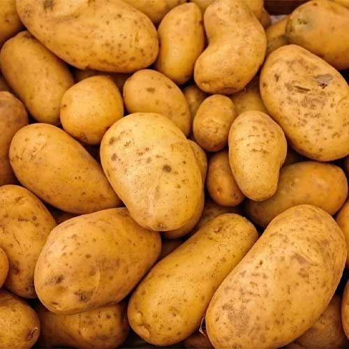 Potato