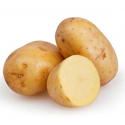 Potato