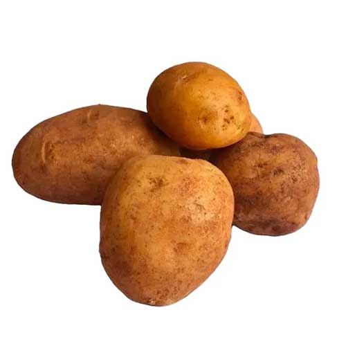 Potato