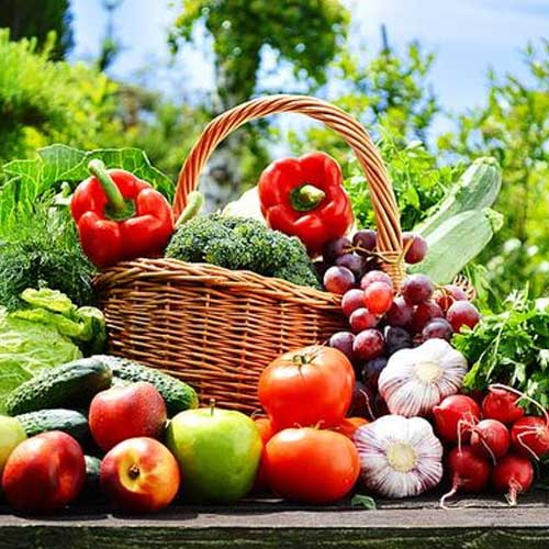 Fresh Vegetables