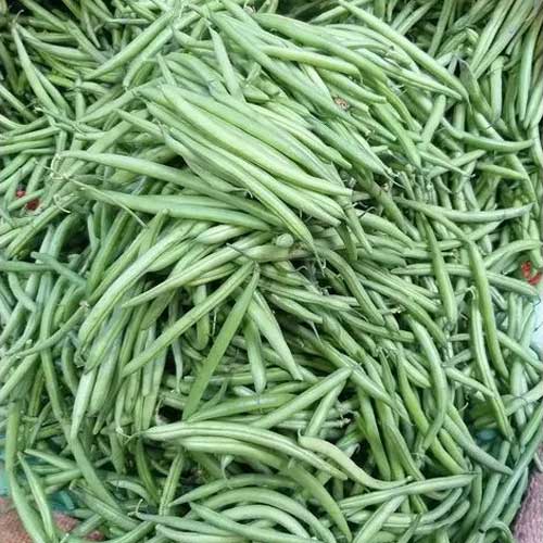 Green Beans