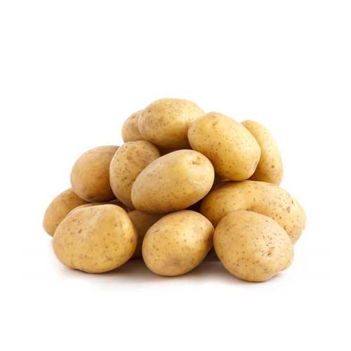 Fresh Potato