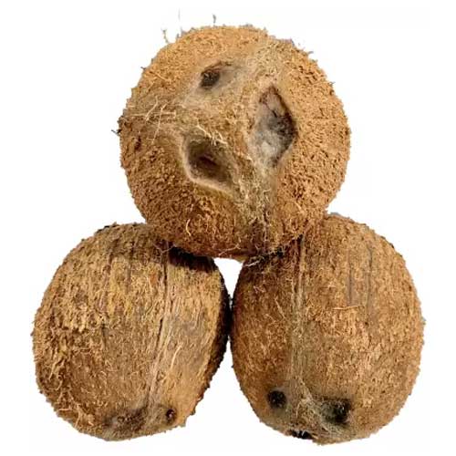Husked Coconut