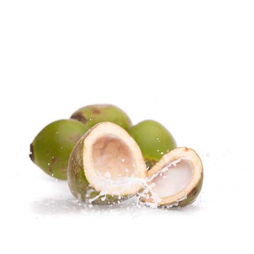 Tender Coconut
