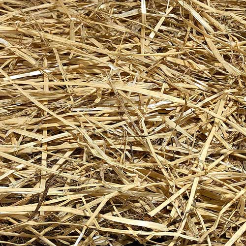 Wheat Straw