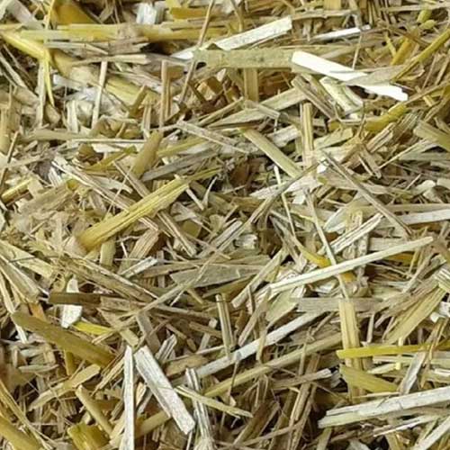 Wheat Straw