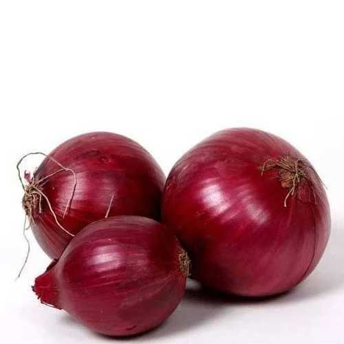 Fresh Red Onion
