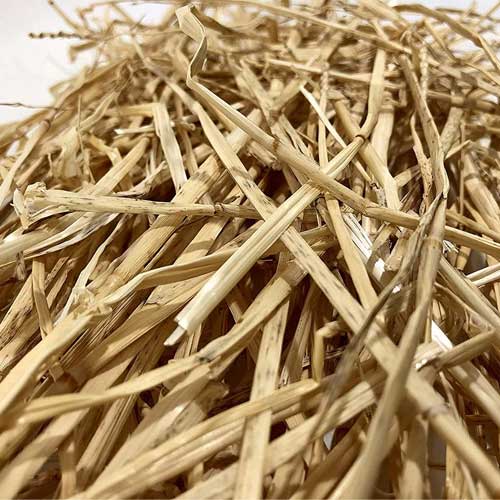 Wheat Straw
