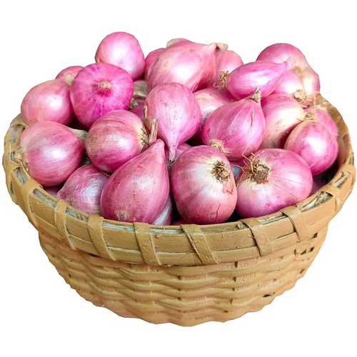 Fresh Red Onion