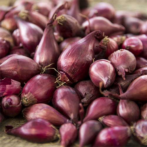 Fresh Red Onion