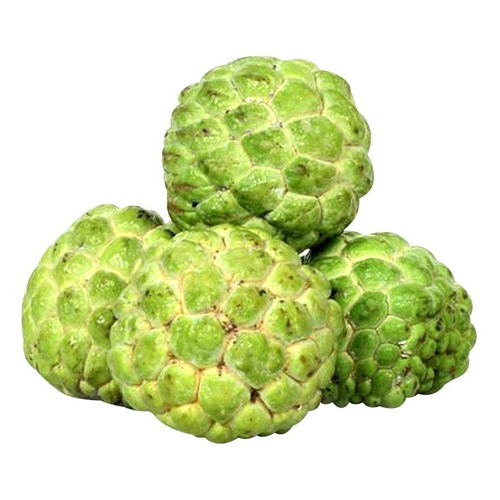 Custard Apple