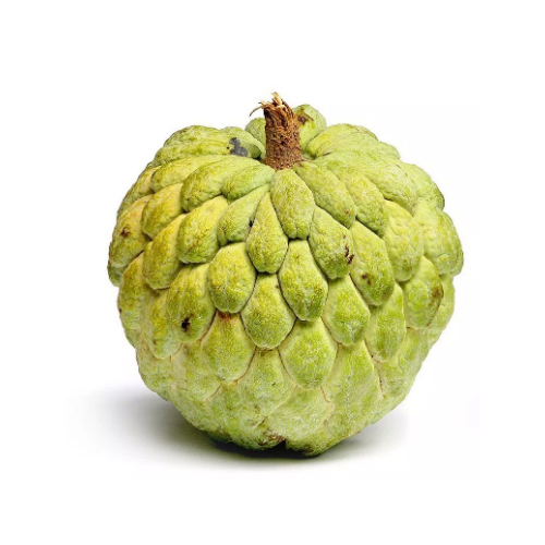 Custard Apple